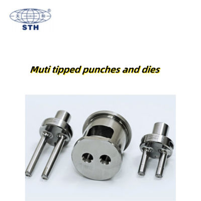 TIANHE Muti Tipped High Capacity Punch and Die Coating Chrome Pharmactical leverancier