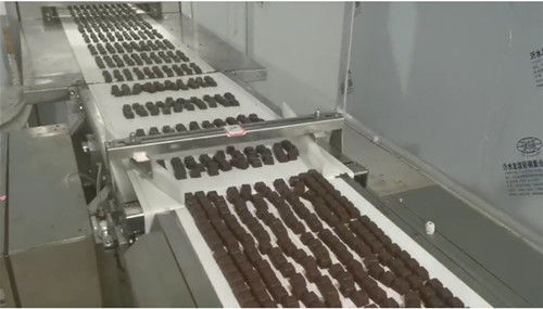 De Kubus 10g van de kippenbouillon poedert de Roterende Machine van de Tabletpers leverancier
