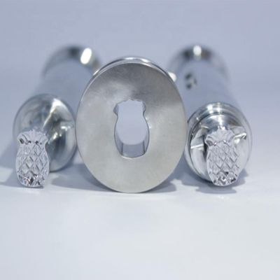 TIANHE Pill Stamp Mould voor Tablet Press Tooling Op maat van elke vorm Punch Die leverancier